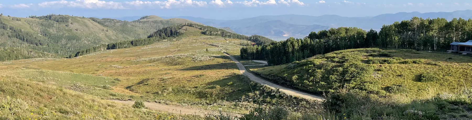 A dirt road crossing high meadows splits in two below a stand of aspen